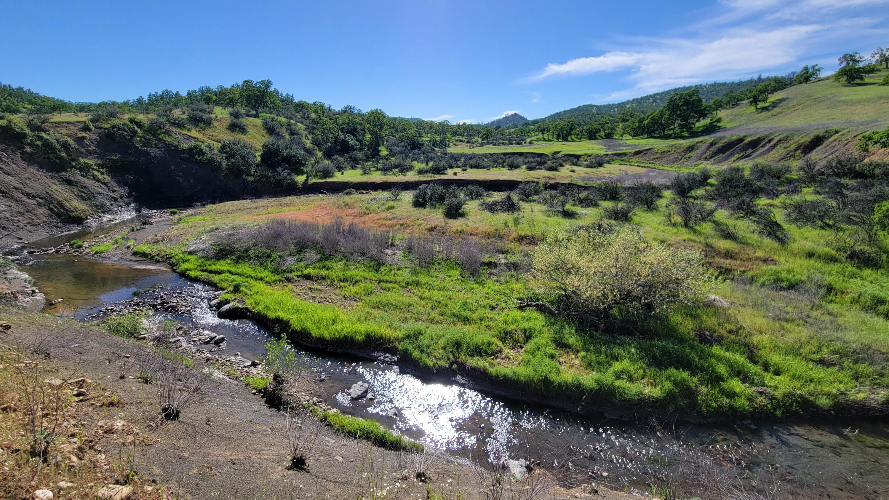 Lot 4 Bland Road Igo, CA 96047 - Photo 1 of 46 Property & view