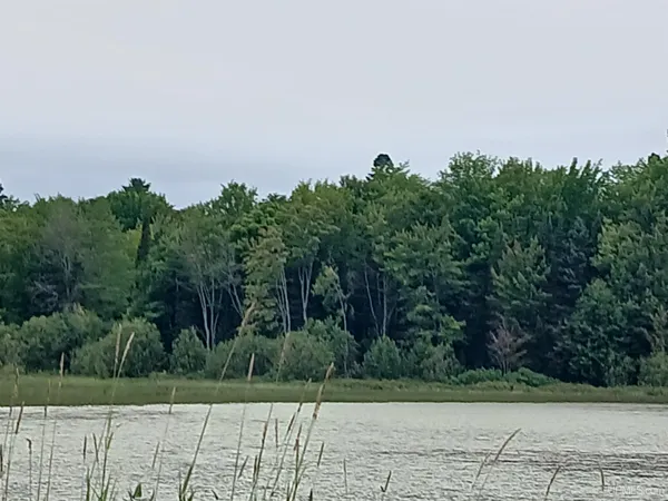 $38,800 | 7 Keweenaw Pass Rd Lake, Lake Linden, MI 49945
