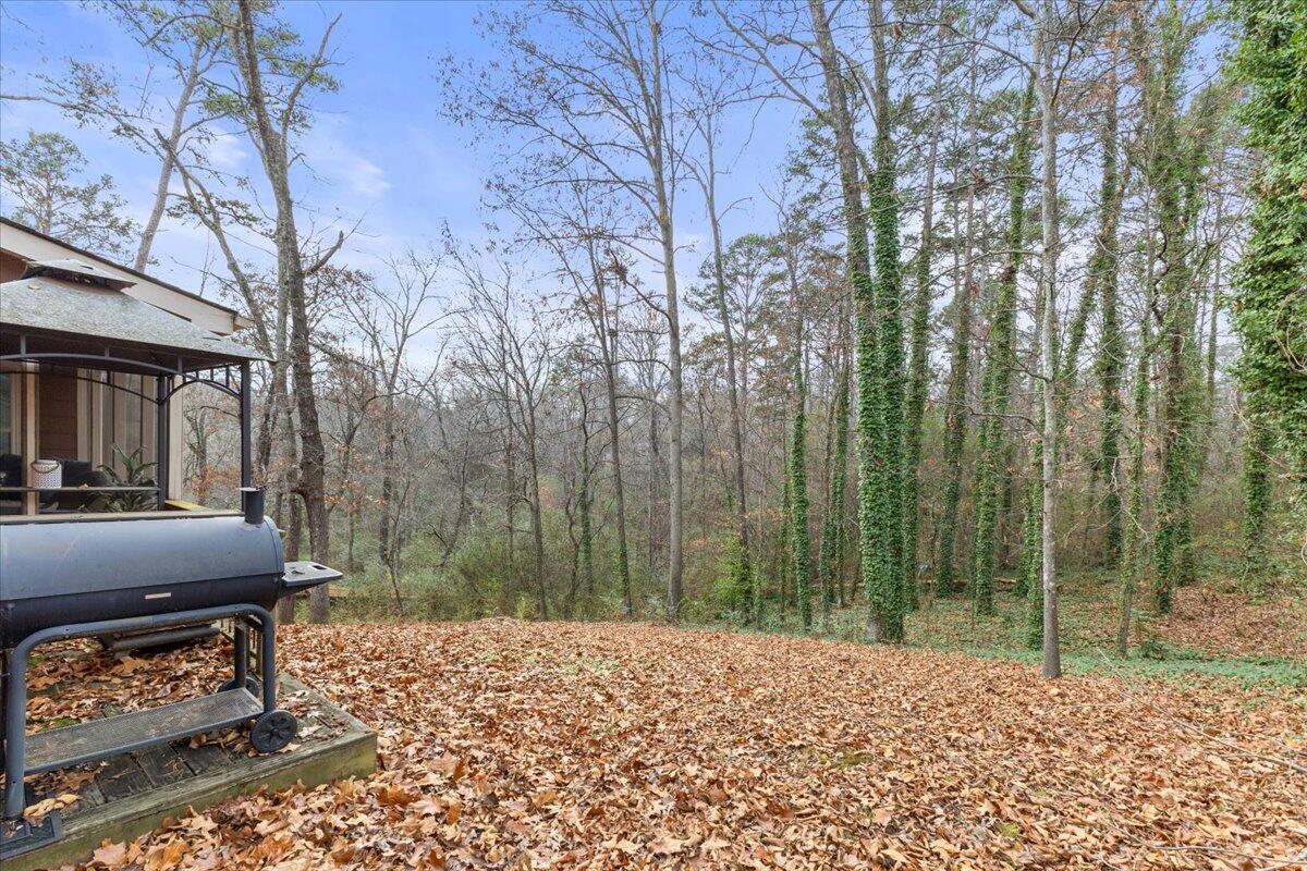 203 Raintree Lane Chattanooga, TN 37421 - Photo 40 of 44 04-IMG_6777