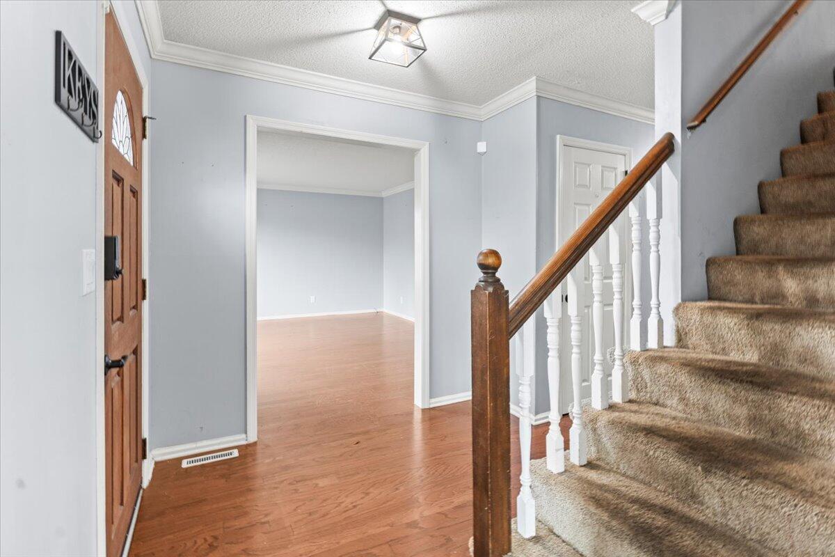 203 Raintree Lane Chattanooga, TN 37421 - Photo 6 of 44 14-IMG_6669