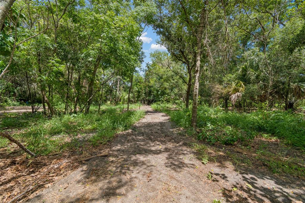 15628 Carlton Lake Road Wimauma, FL 33598 - Photo 10 of 80