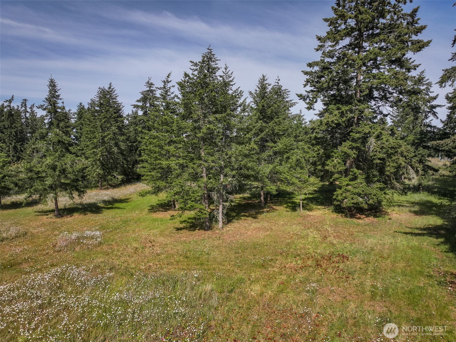 405 Riverside Road, Unit LOT C Sequim, WA 98382 - Photo 4 of 39