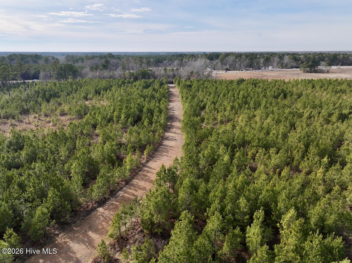 0 Old Washington Road Vanceboro, NC 28586 - Photo 16 of 34 16