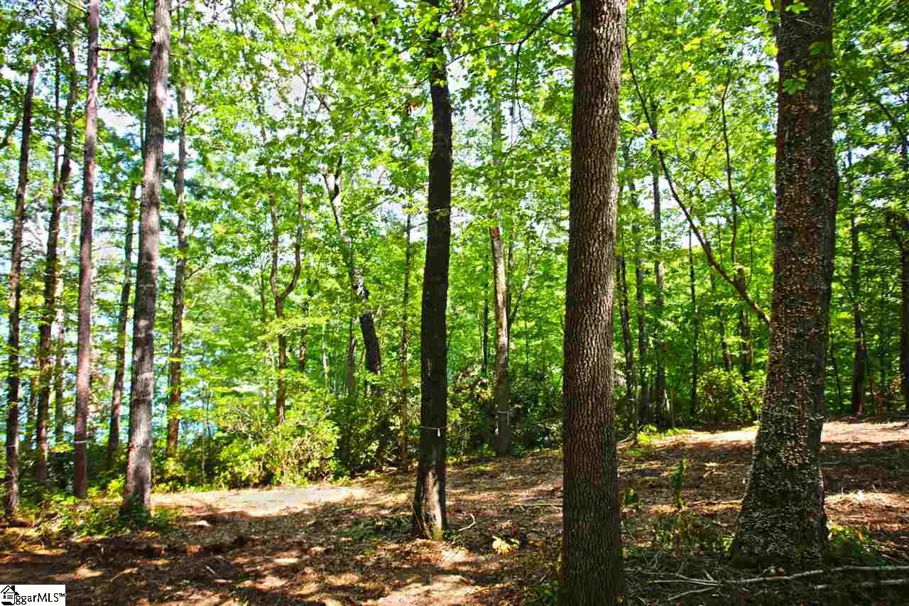 5 Jocassee Point Road Salem, SC 29676 - Photo 14 of 36 Gallery Image 14