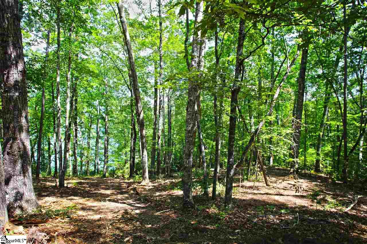 5 Jocassee Point Road Salem, SC 29676 - Photo 17 of 36 Gallery Image 17