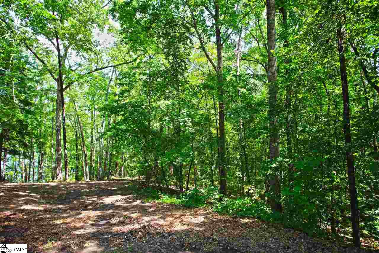 5 Jocassee Point Road Salem, SC 29676 - Photo 21 of 36 Gallery Image 21