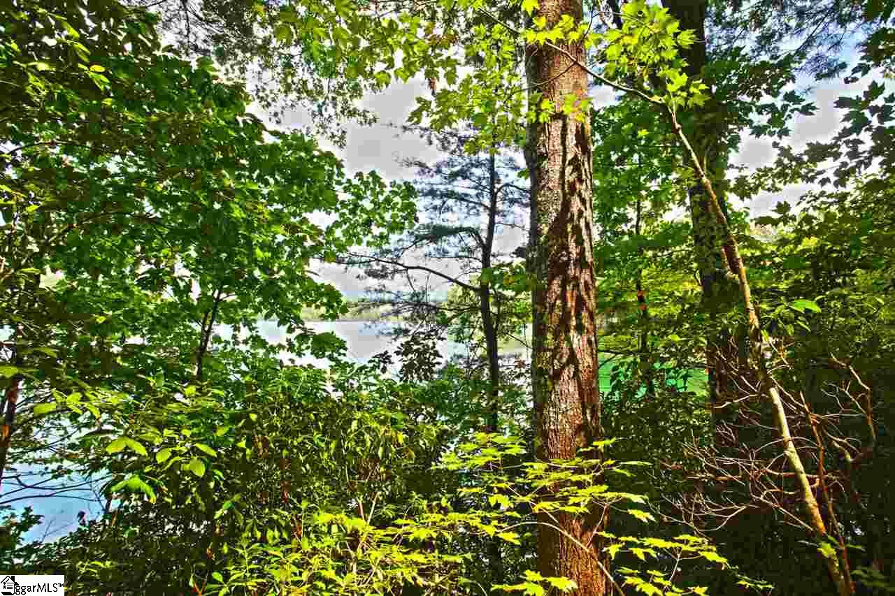 5 Jocassee Point Road Salem, SC 29676 - Photo 4 of 36 Gallery Image 4