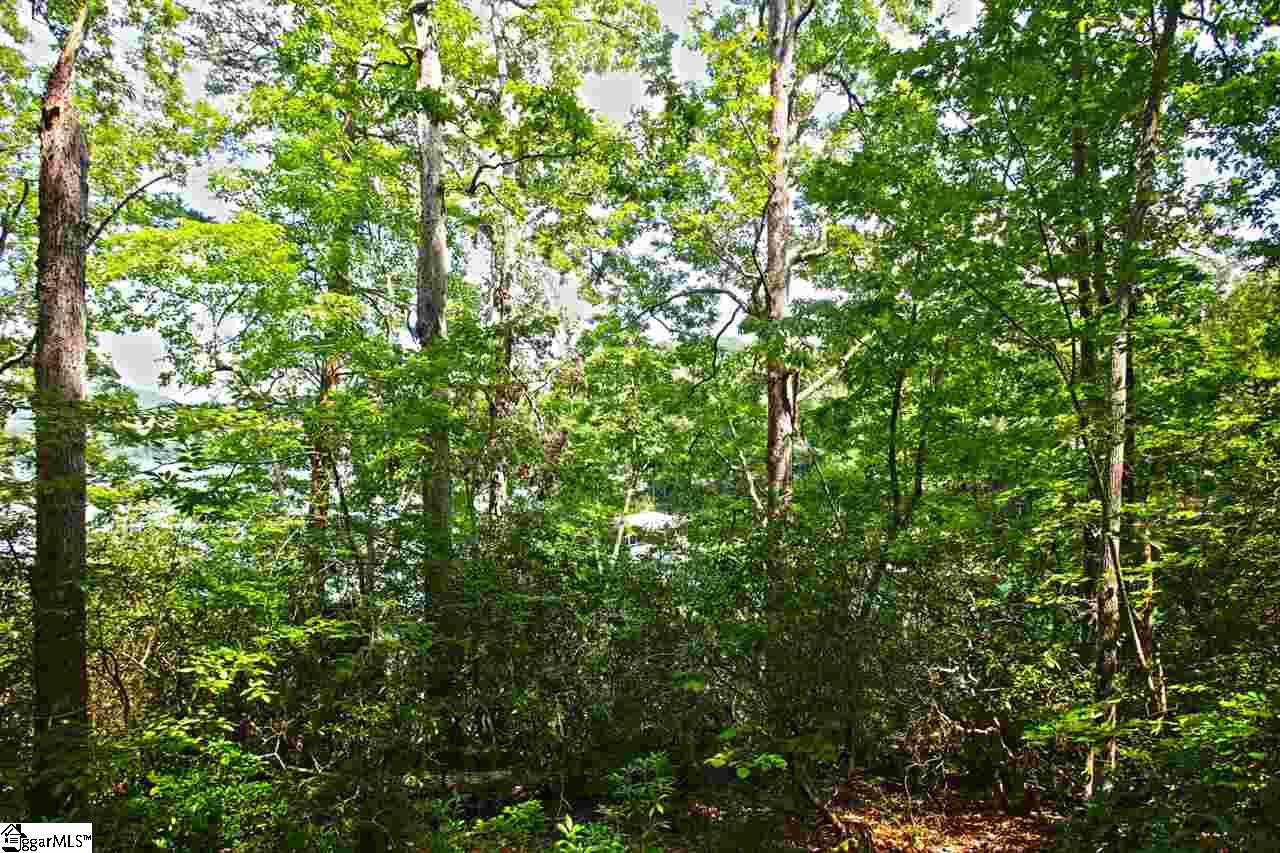 5 Jocassee Point Road Salem, SC 29676 - Photo 6 of 36 Gallery Image 6