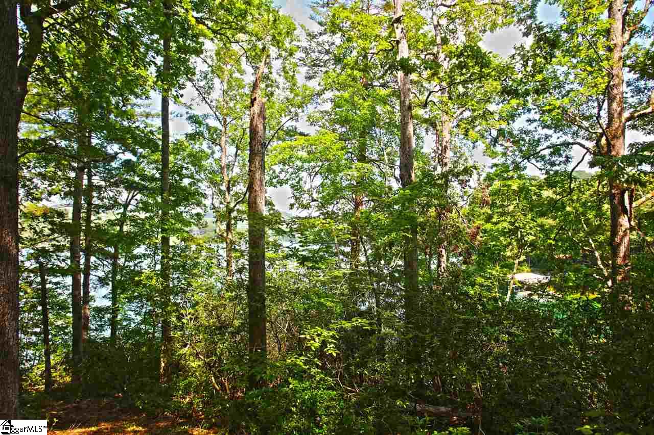 5 Jocassee Point Road Salem, SC 29676 - Photo 7 of 36 Gallery Image 7