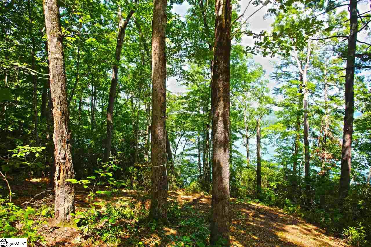 5 Jocassee Point Road Salem, SC 29676 - Photo 9 of 36 Gallery Image 9
