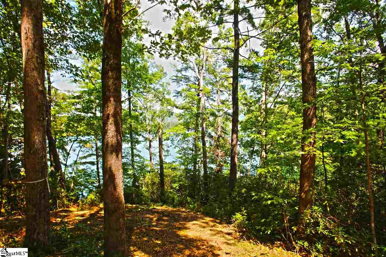 5 Jocassee Point Road Salem, SC 29676 - Photo 10 of 36 Gallery Image 10