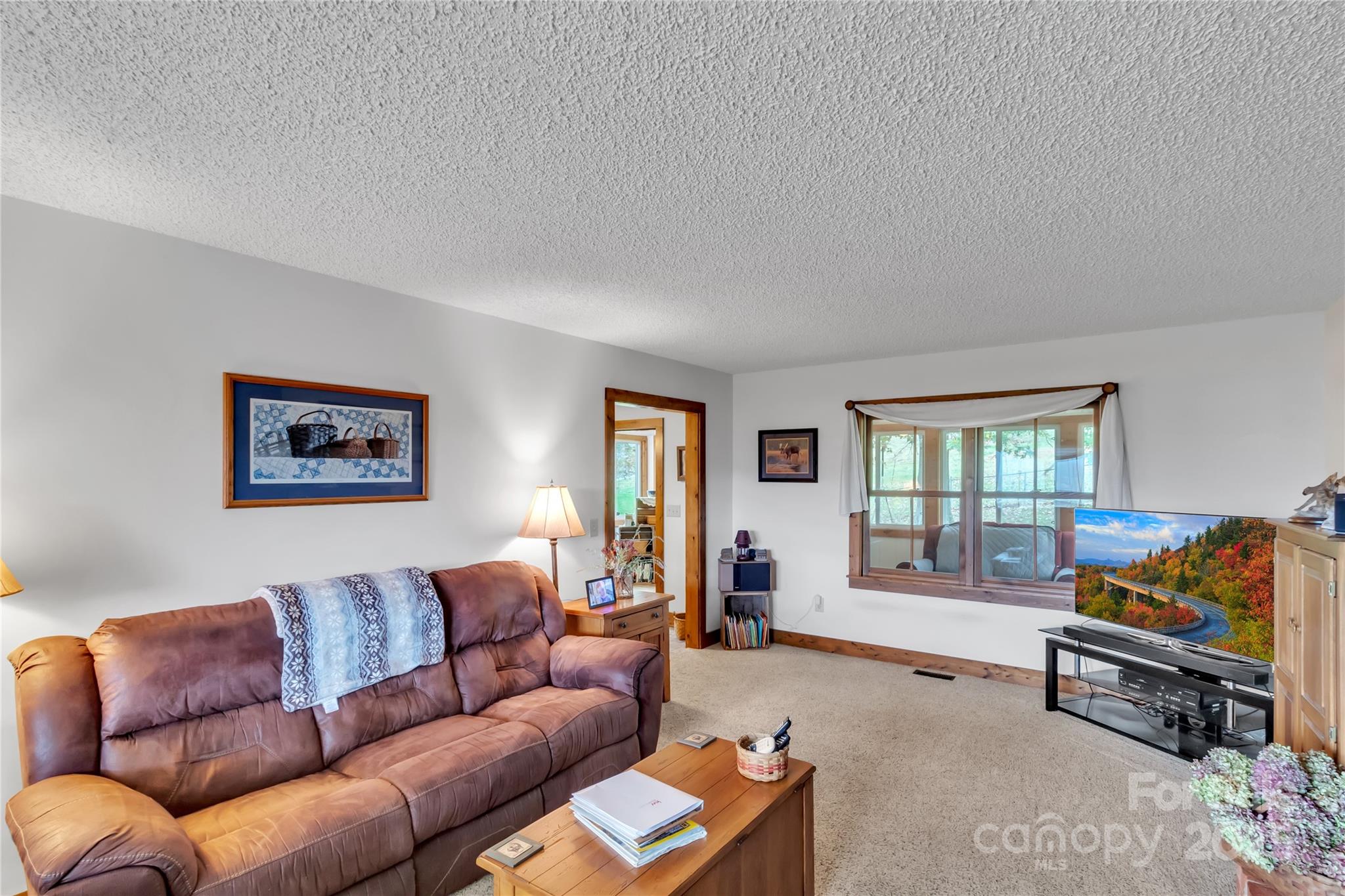 580 River Point Road Canton, NC 28716 - Photo 26 of 46 a living room with furniture and a window