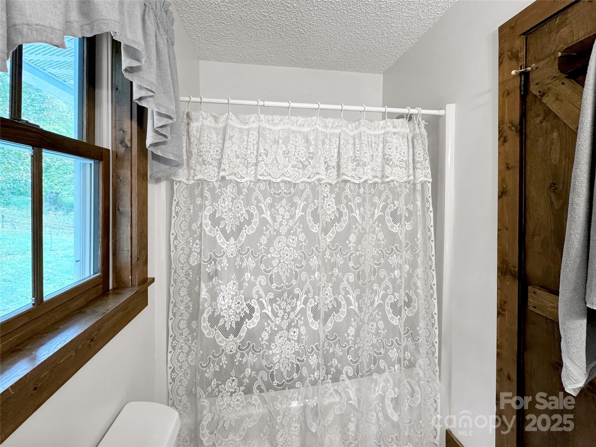 580 River Point Road Canton, NC 28716 - Photo 34 of 46 a bathroom with a shower curtain and a large window