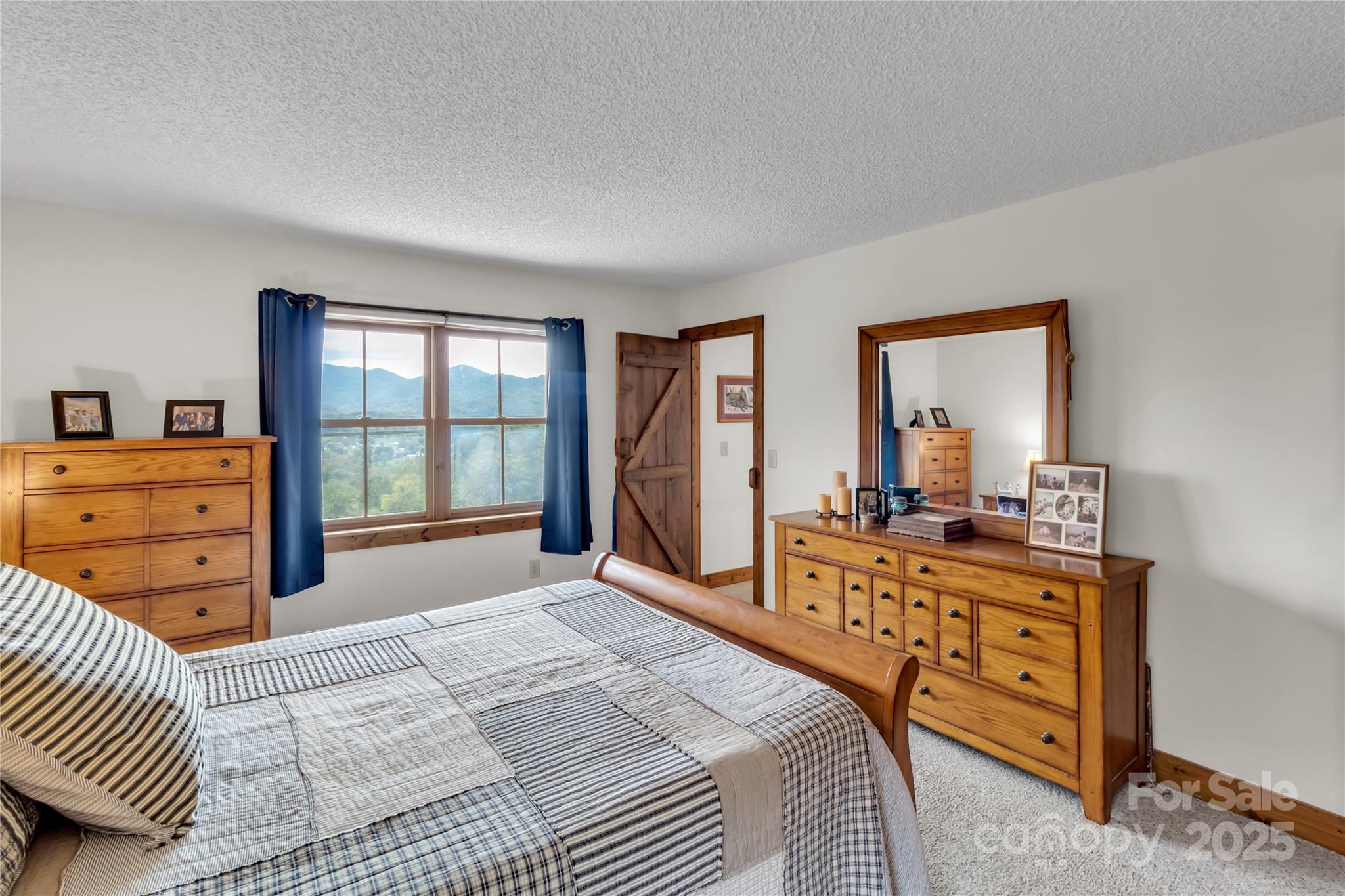 580 River Point Road Canton, NC 28716 - Photo 38 of 46 a bedroom with a bed and a dresser in it