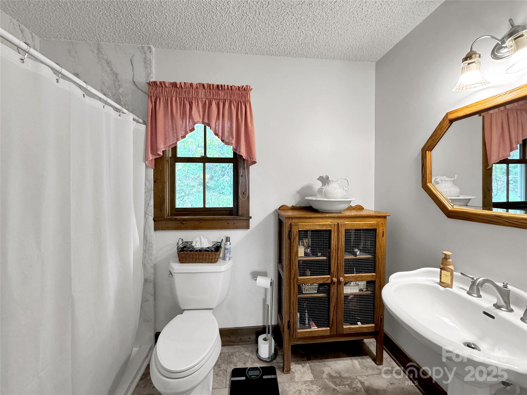 580 River Point Road Canton, NC 28716 - Photo 39 of 46 a bathroom with a granite countertop sink toilet and mirror