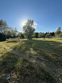 a view of a field with an trees