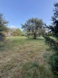 a view of a field with an trees