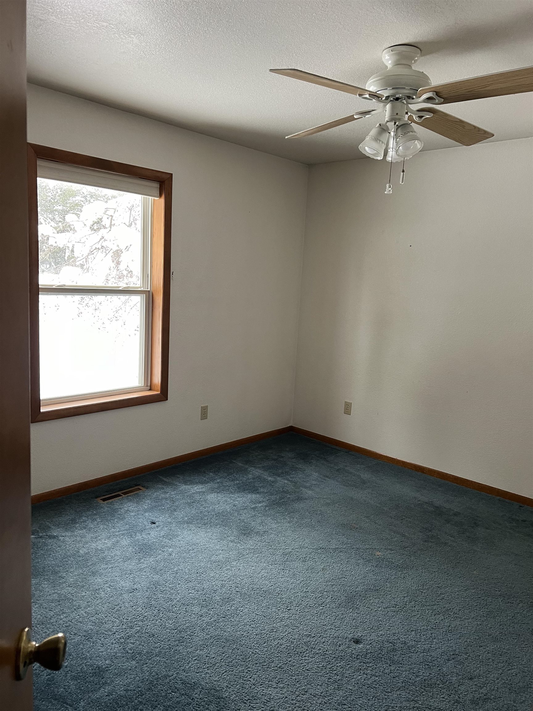 659 West Maple Road Farwell, MI 48622 - Photo 14 of 24