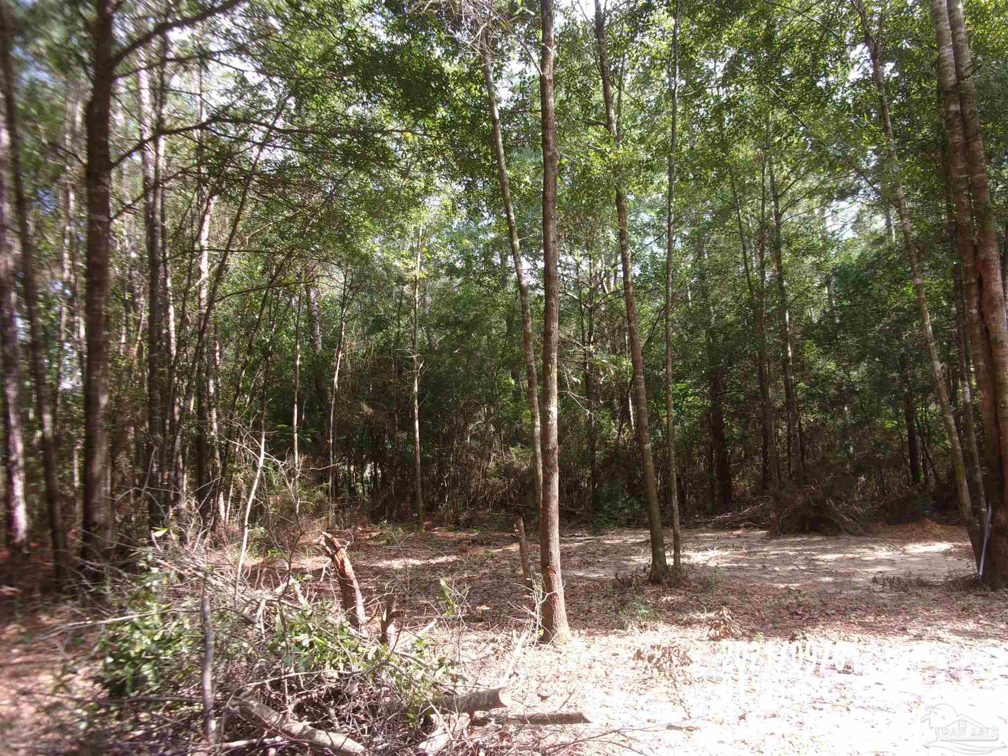 0 Indian Ford Road Milton, FL 32570 - Photo 2 of 6 Gallery Image 2