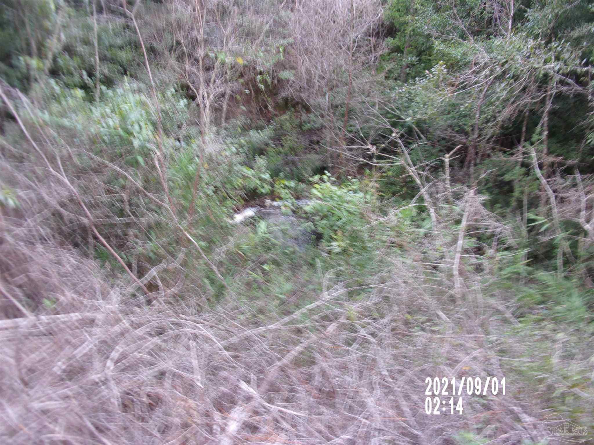 0 Indian Ford Road Milton, FL 32570 - Photo 3 of 6 Gallery Image 3