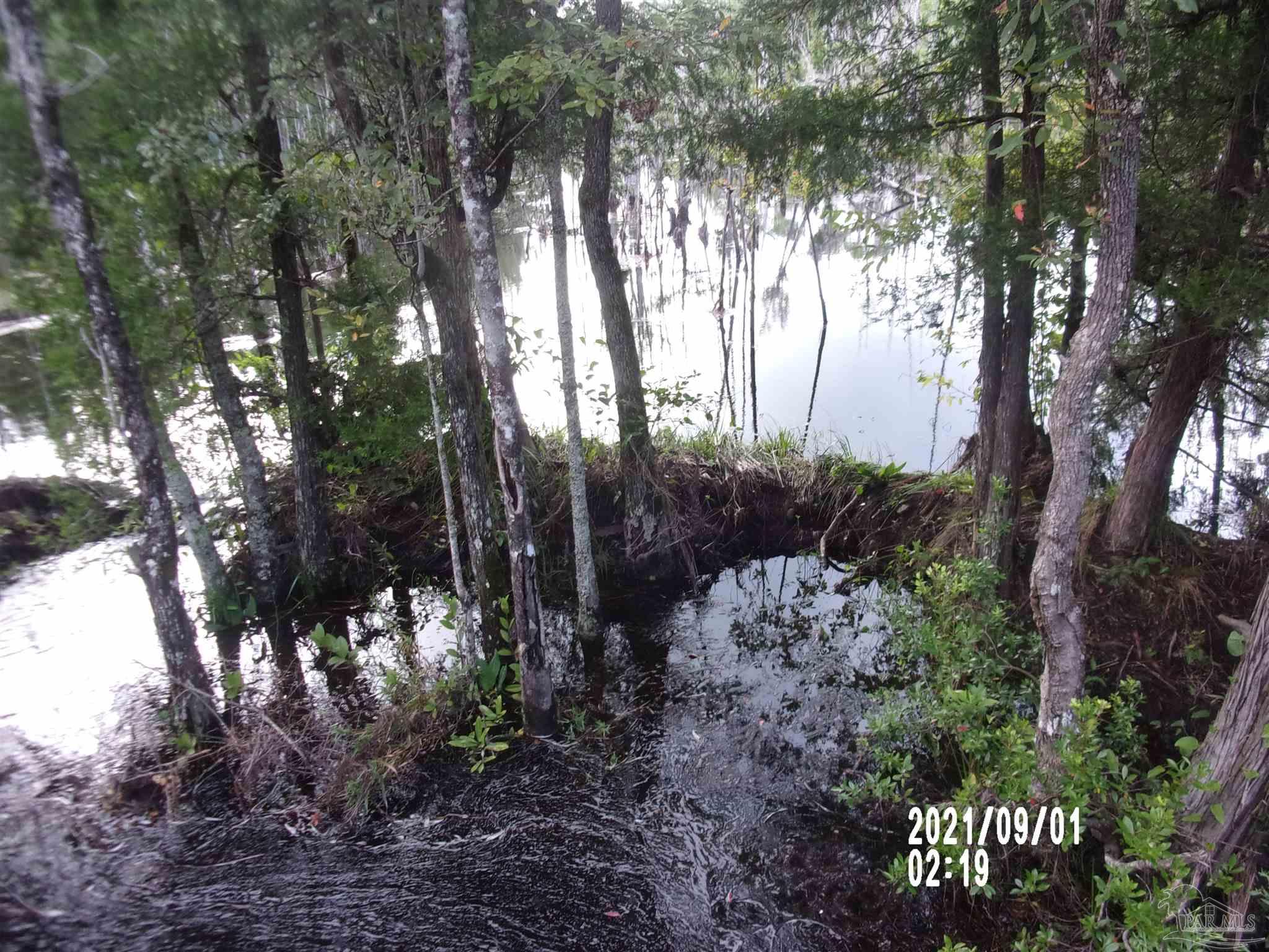 0 Indian Ford Road Milton, FL 32570 - Photo 5 of 6 Gallery Image 5