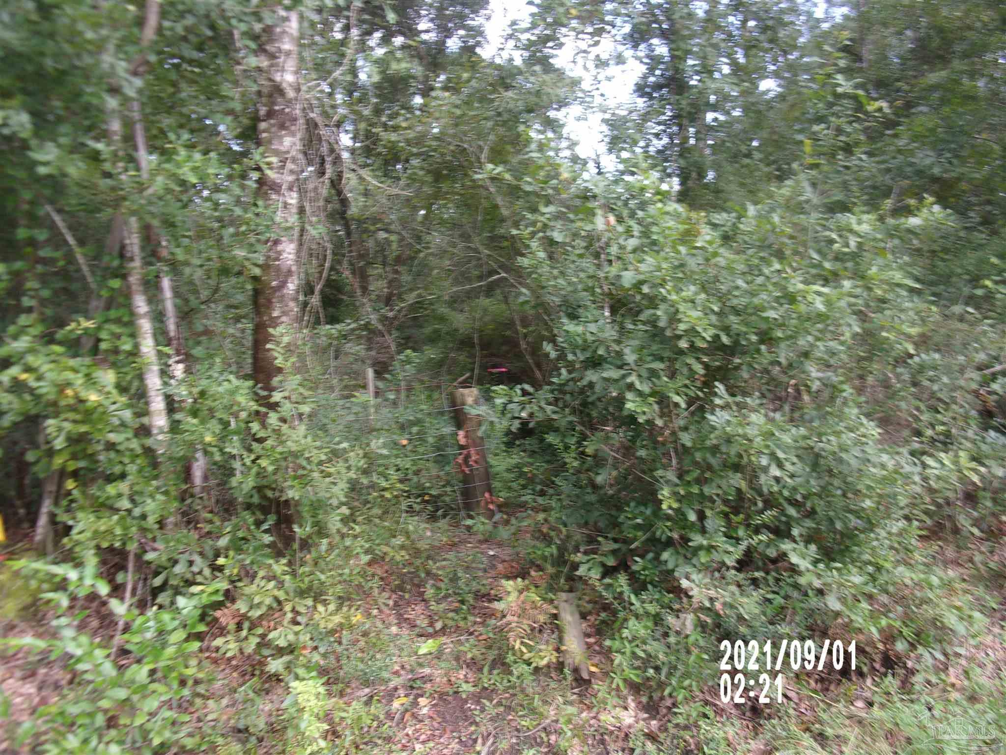 0 Indian Ford Road Milton, FL 32570 - Photo 6 of 6 Gallery Image 6