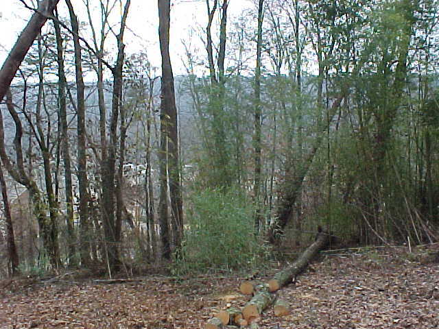 613 Westview Road Chattanooga, TN 37415 - Photo 2 of 3 Additional Photo