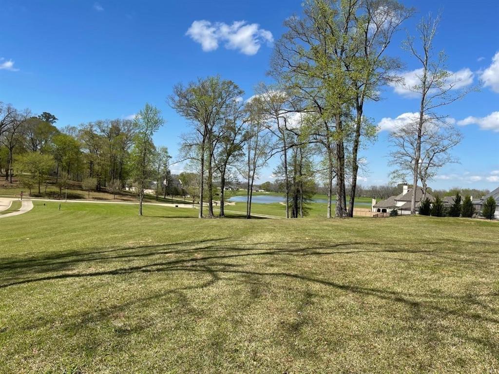 407 Mission Ridge Court, Unit 4A Shreveport, LA 71106 - Photo 3 of 3 View of yard with a water view