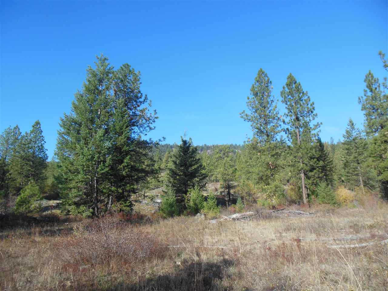 Lot 2 North Nancy Creek Road Kettle Falls, WA 99141 - Photo 1 of 4 Gallery Image 1