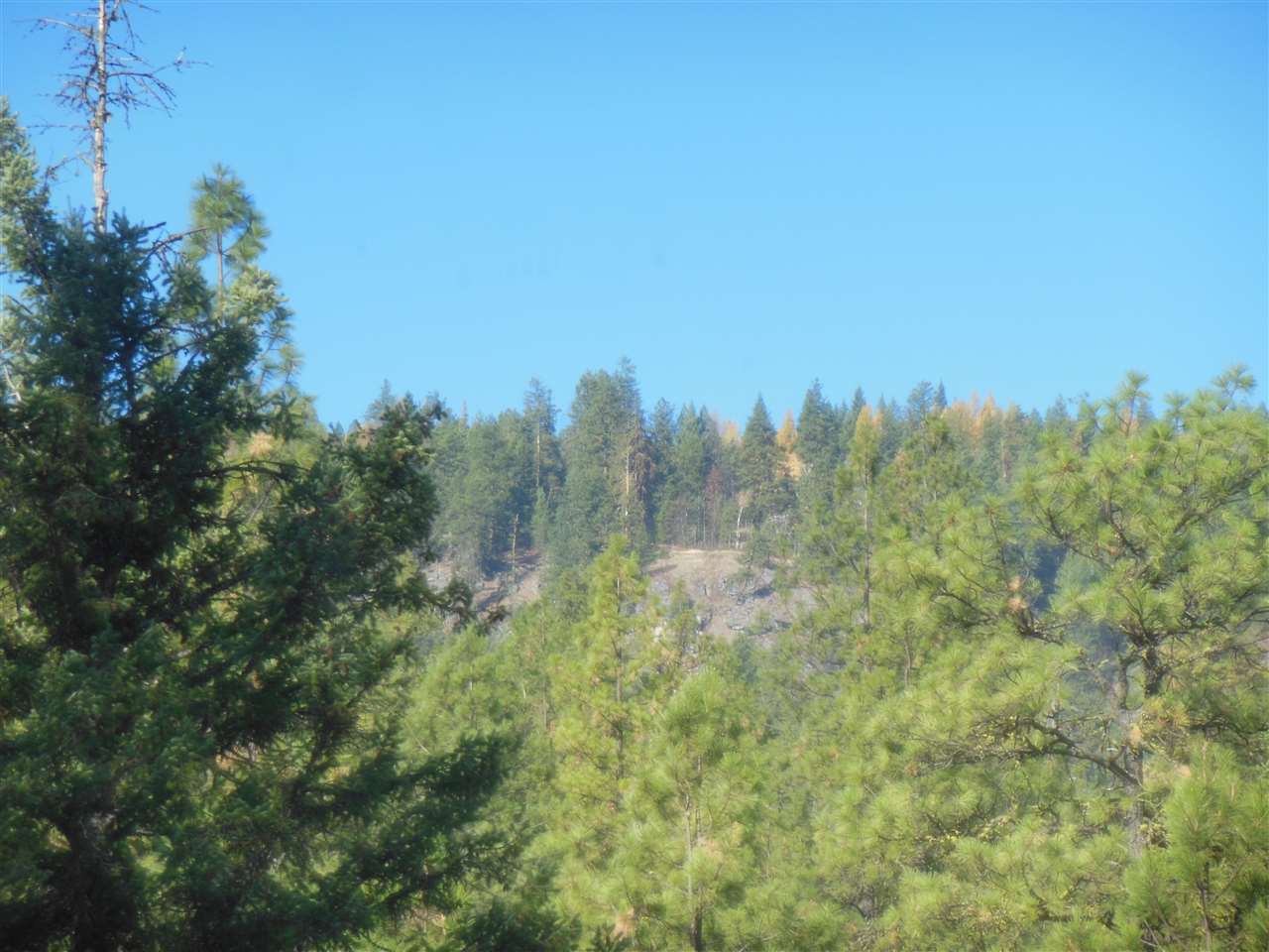 Lot 2 North Nancy Creek Road Kettle Falls, WA 99141 - Photo 2 of 4 Gallery Image 2