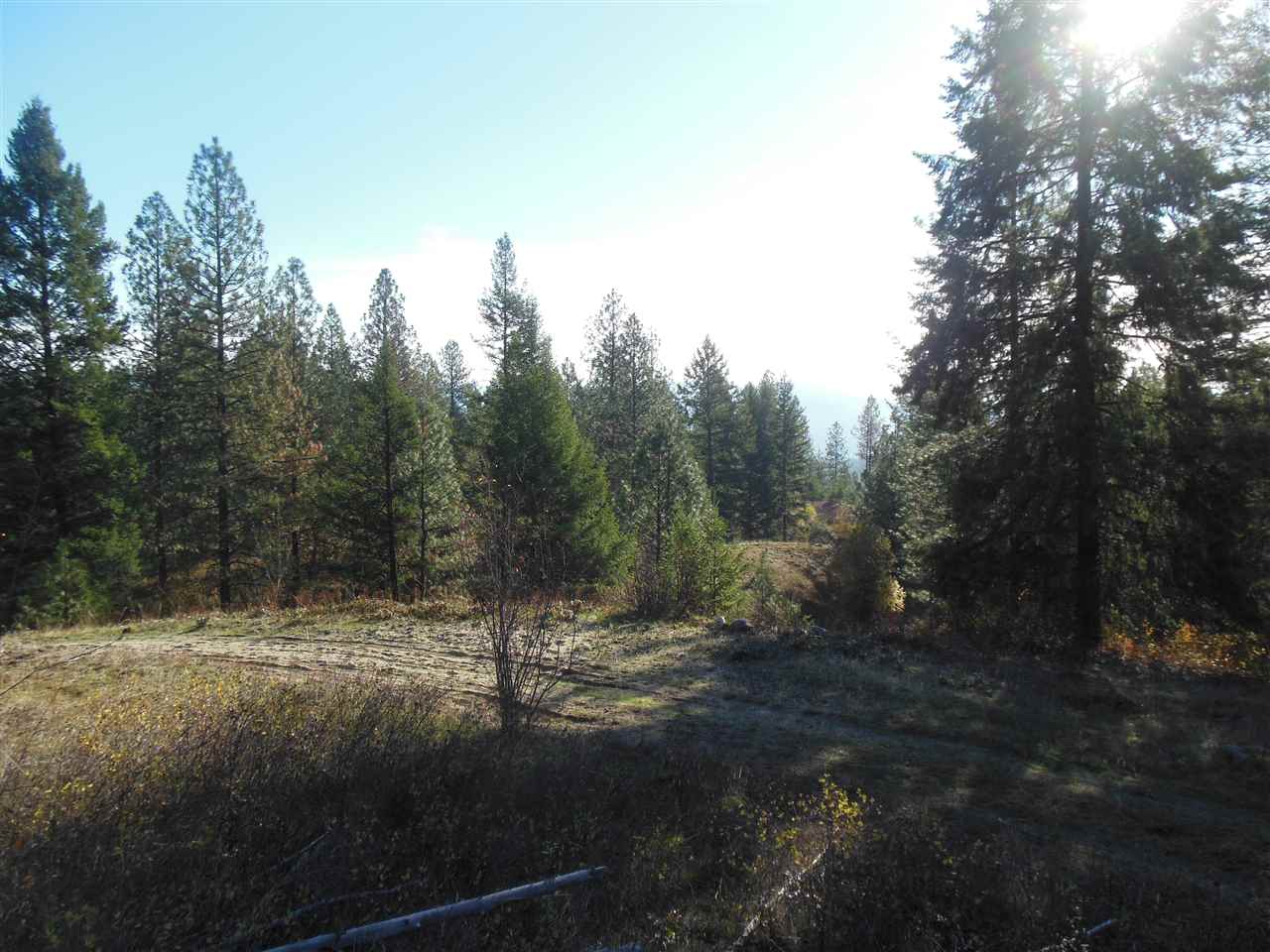 Lot 2 North Nancy Creek Road Kettle Falls, WA 99141 - Photo 3 of 4 Gallery Image 3