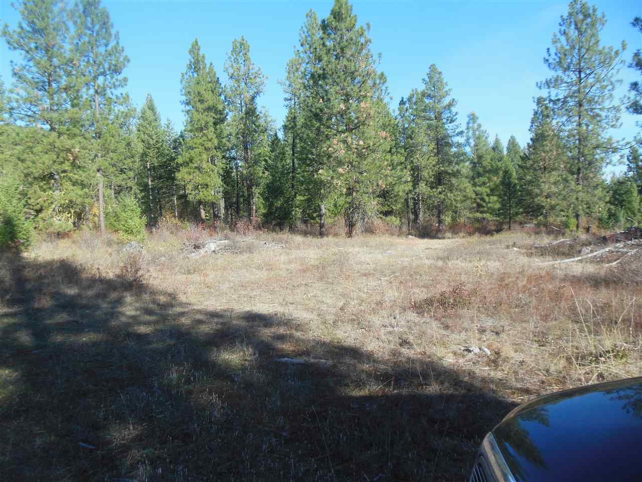 Lot 2 North Nancy Creek Road Kettle Falls, WA 99141 - Photo 4 of 4 Gallery Image 4