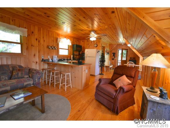 955 Panther Branch Road Canton, NC 28716 - Photo 15 of 22