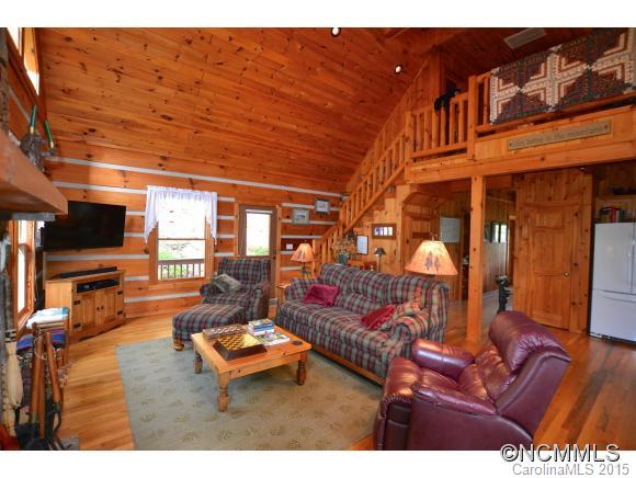 955 Panther Branch Road Canton, NC 28716 - Photo 3 of 22