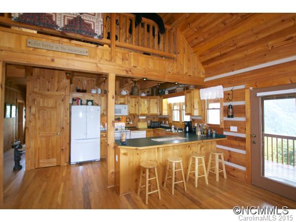 955 Panther Branch Road Canton, NC 28716 - Photo 4 of 22
