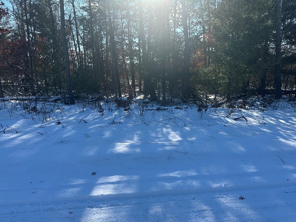 Lot 8 Edwin Road Harrison, MI 48625 - Photo 2 of 3