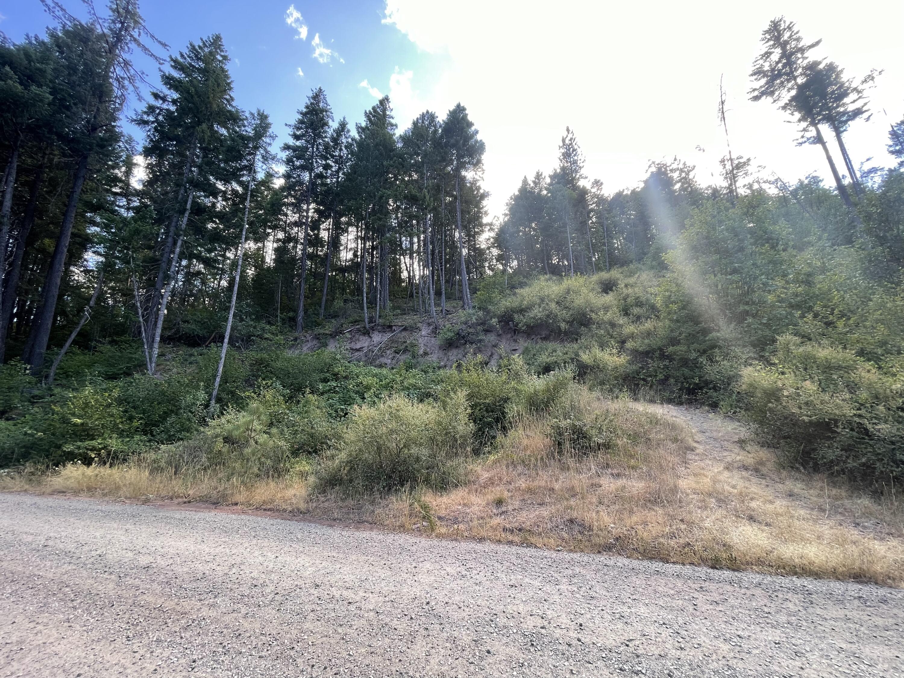 Loper Ln Trail Trail, OR 97541 - Photo 3 of 5 IMG_8333