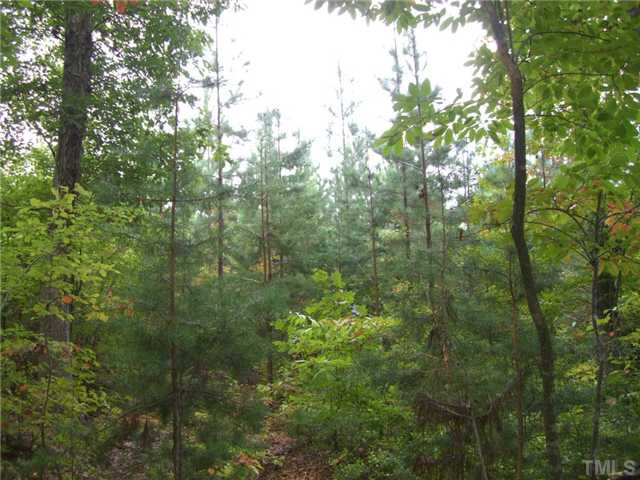 Mill Creek Road Roxboro, NC 27574 - Photo 4 of 5 Photo 4