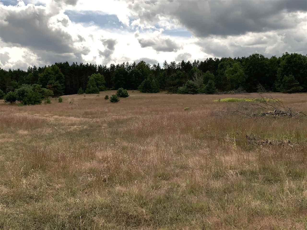 3078 East Perla Road Kingsley, MI 49649 - Photo 1 of 8 1879442.JPG