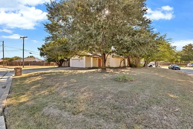 a view of road with large trees
