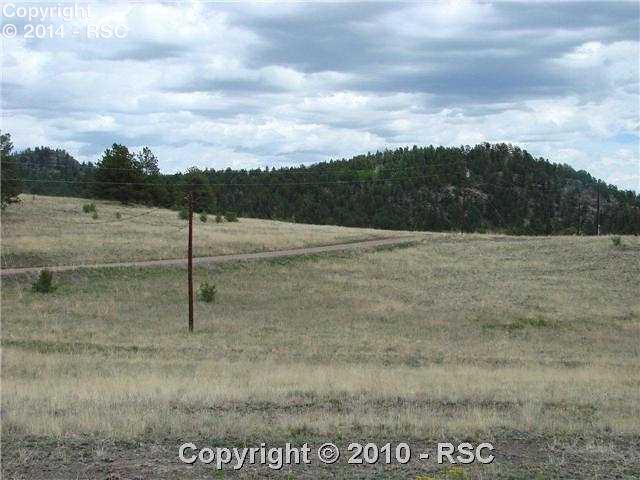 174 Park Ridge Drive Guffey, CO 80820 - Photo 10 of 12 Gallery Image 10