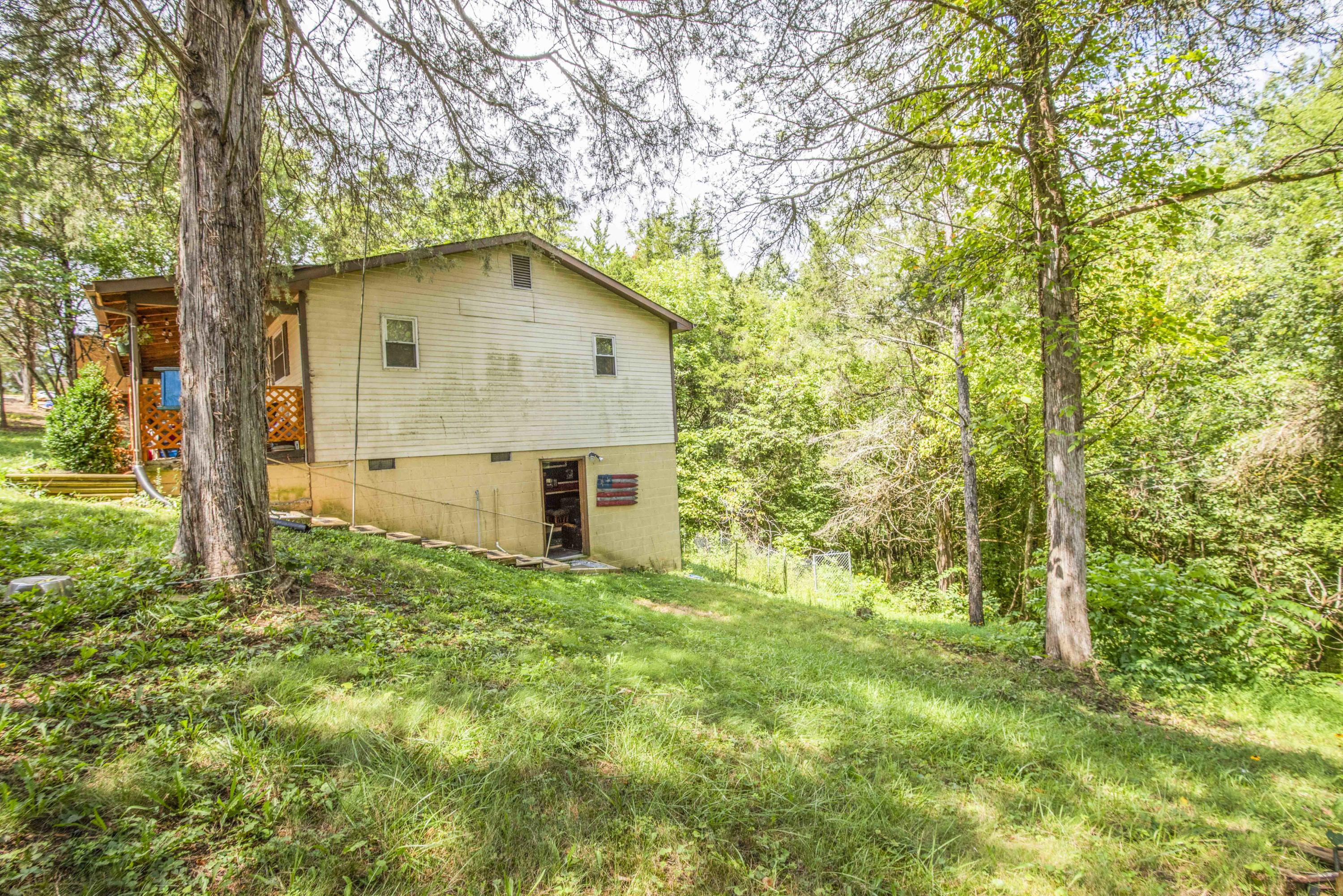 9021 Curtis Road Strawberry Plains, TN 37871 - Photo 4 of 34 yard 2_1