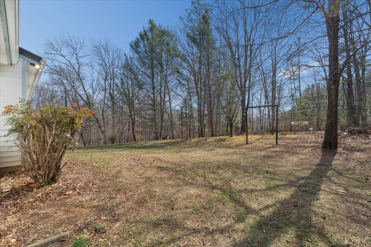 146 Watts Mill Road Pamplin, VA 23958 - Photo 35 of 37 a view of a yard with trees