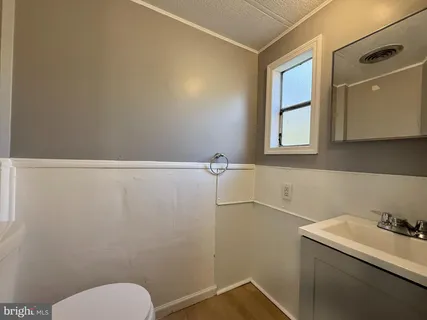 a bathroom with a sink a toilet and mirror