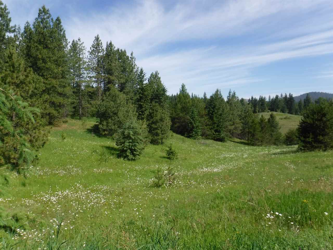 0 Williamson Road Clayton, WA 99110 - Photo 2 of 14