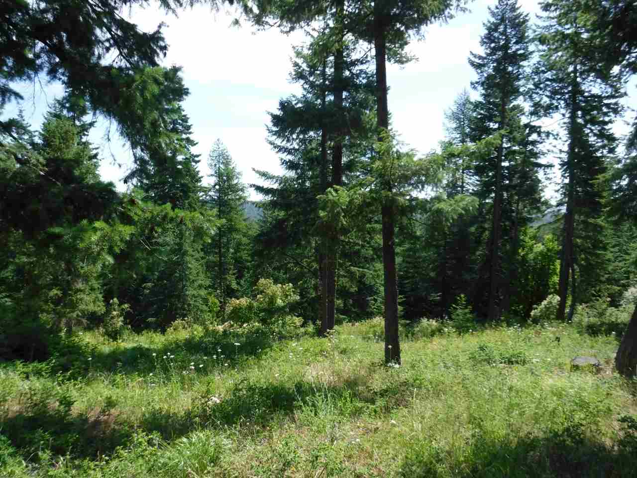 0 Williamson Road Clayton, WA 99110 - Photo 11 of 14