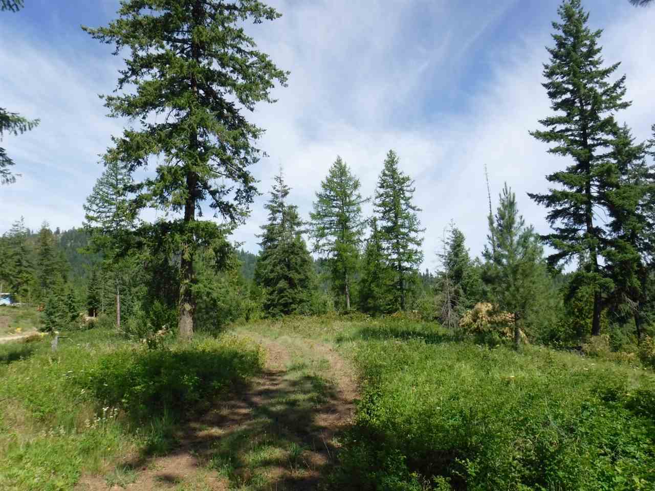 0 Williamson Road Clayton, WA 99110 - Photo 12 of 14