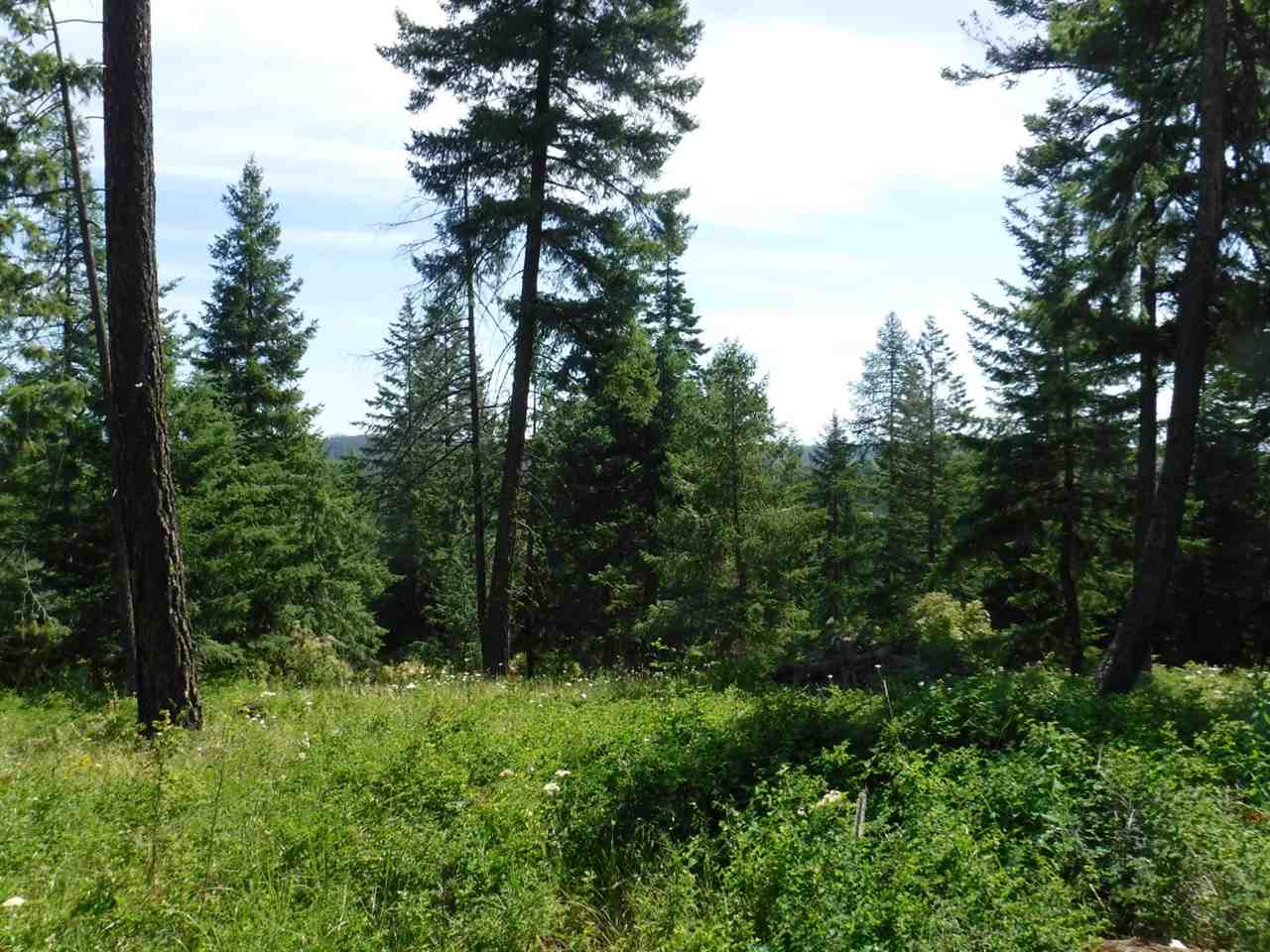 0 Williamson Road Clayton, WA 99110 - Photo 13 of 14