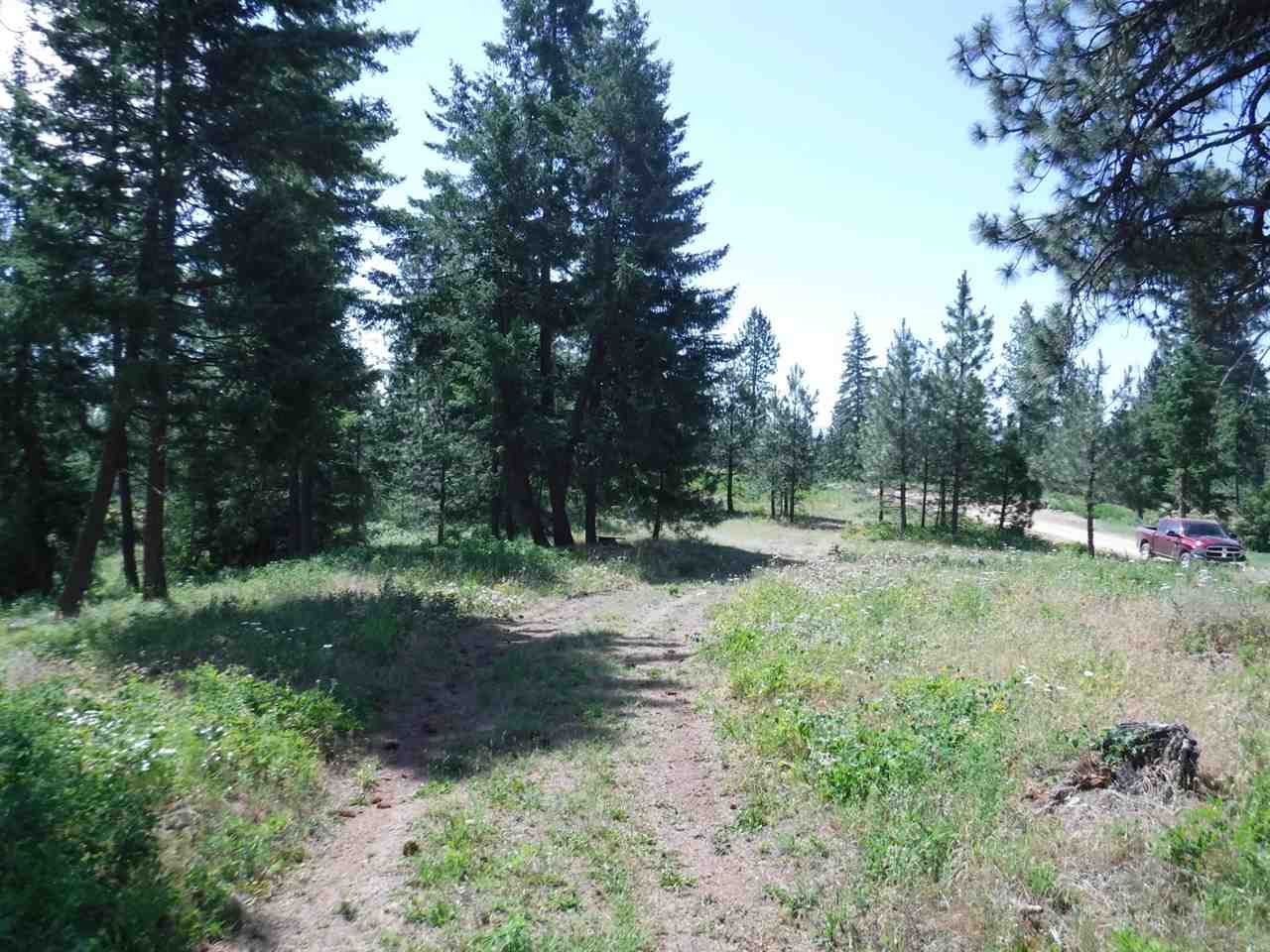 0 Williamson Road Clayton, WA 99110 - Photo 14 of 14