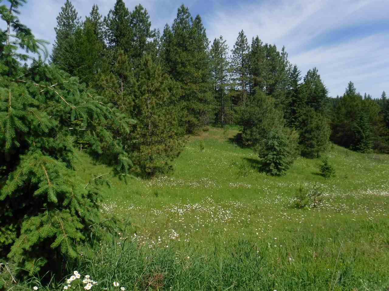 0 Williamson Road Clayton, WA 99110 - Photo 3 of 14
